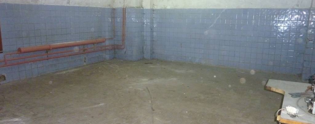 Помещение 290 м²
